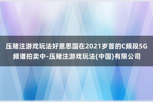 压赌注游戏玩法好意思国在2021岁首的C频段5G频谱拍卖中-压赌注游戏玩法(中国)有限公司