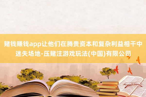 赌钱赚钱app让他们在腾贵资本和复杂利益相干中迷失场地-压赌注游戏玩法(中国)有限公司