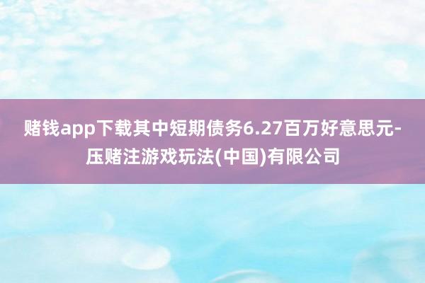 赌钱app下载其中短期债务6.27百万好意思元-压赌注游戏玩法(中国)有限公司