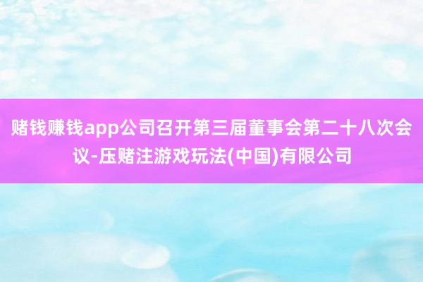 赌钱赚钱app公司召开第三届董事会第二十八次会议-压赌注游戏玩法(中国)有限公司